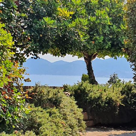 Haus Mit Garten Ueber Der Bucht Von Cannes فالوريس المظهر الخارجي الصورة