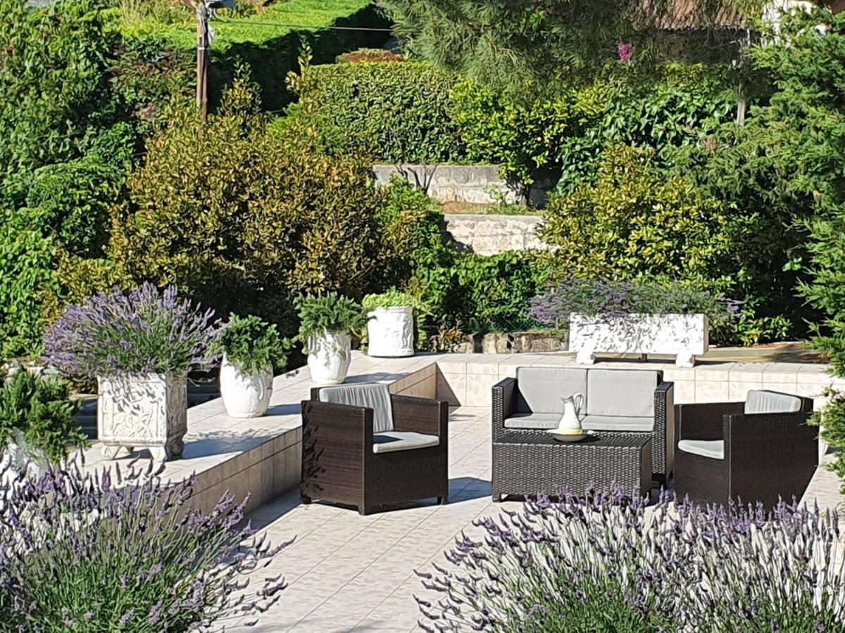 Haus Mit Garten Ueber Der Bucht Von Cannes فالوريس المظهر الخارجي الصورة